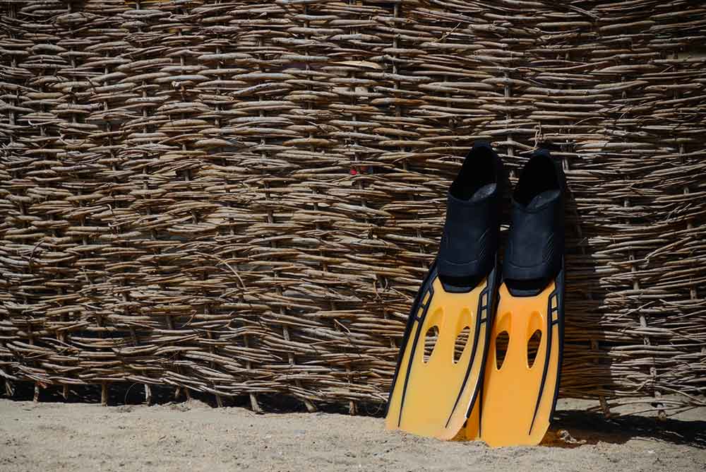 70274296_fins-on-the-beach